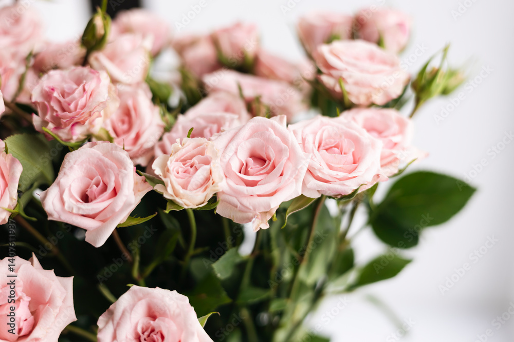 Close-up, bouquet of small pink roses on a white background. Close-up, bouquet of small pink roses on a white background.