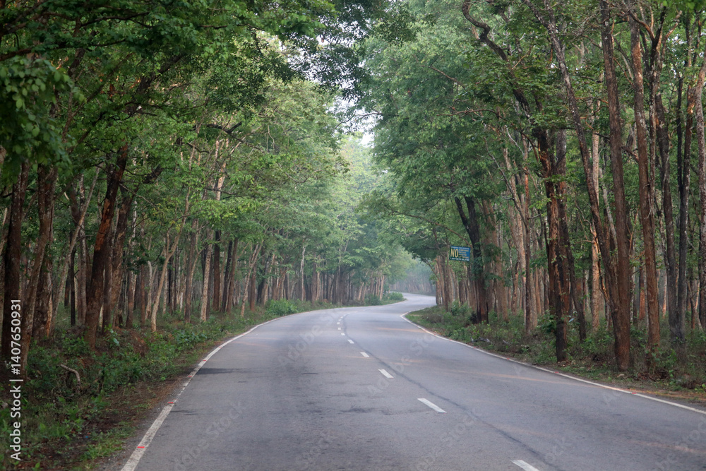 Naklejka premium beautiful road in the forest