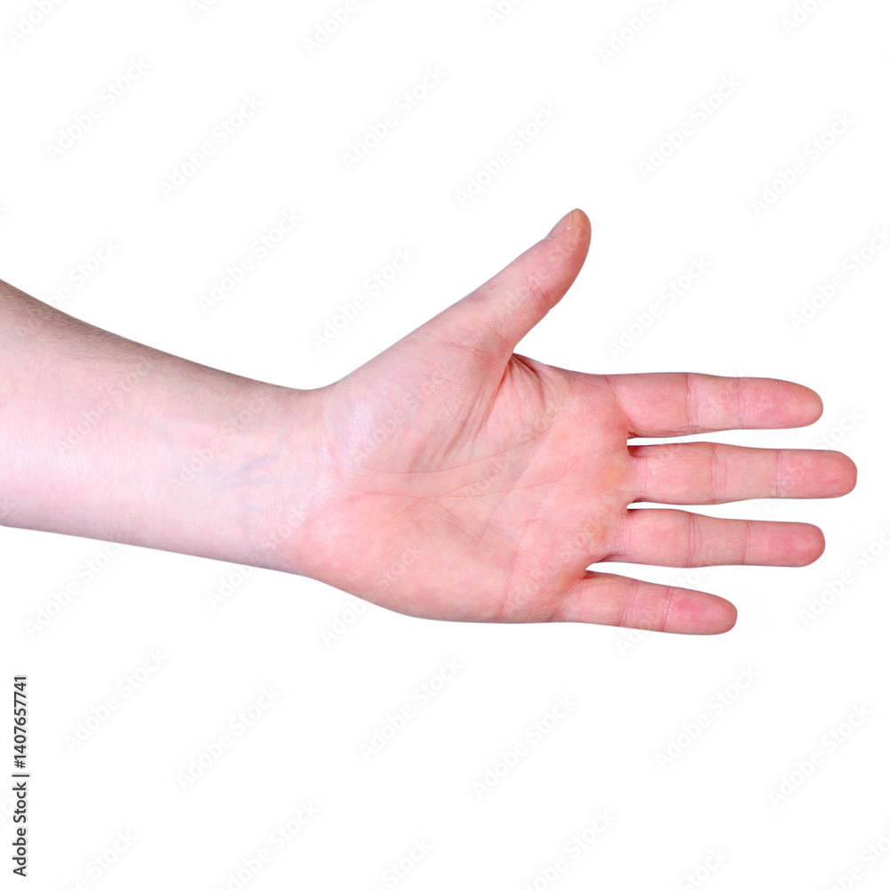 Open Human Hand Isolated on White Background