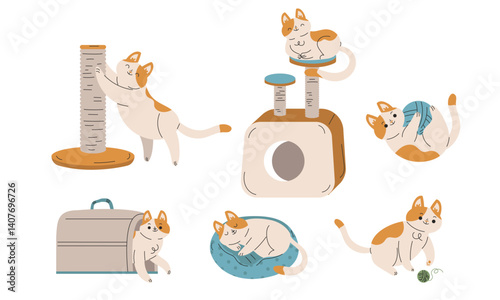 Funny Cat Domestic Pet with Pretty Snout Engaged in Different Activity Vector Set