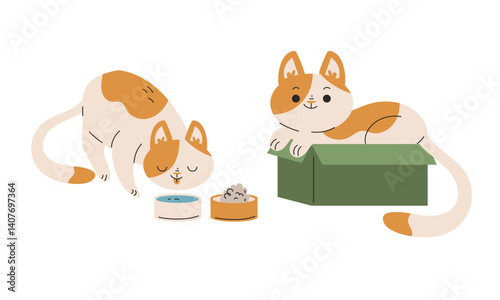 Funny Cat Domestic Pet with Pretty Snout Engaged in Different Activity Vector Set
