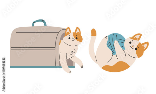 Funny Cat Domestic Pet with Pretty Snout Engaged in Different Activity Vector Set