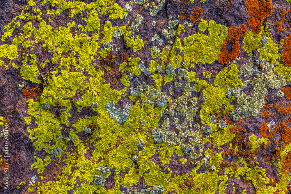 Close-up texture of a rock with yellow-green and orange lichens. Close-up texture of a rock with yellow-green and orange lichens.
