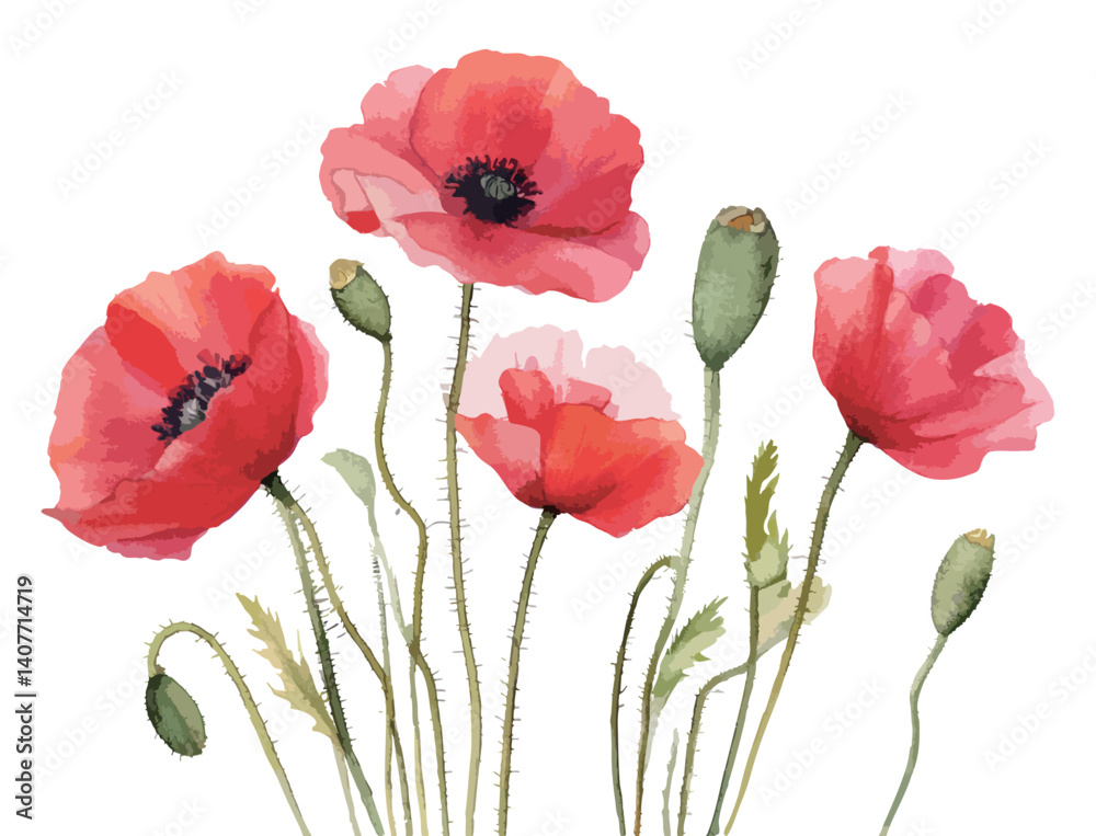 Fototapeta premium ポピーの花の水彩風イラスト 生成AI