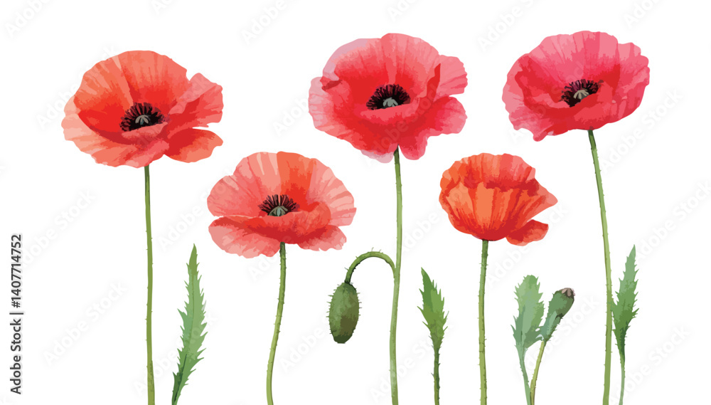 Fototapeta premium ポピーの花の水彩風イラスト 生成AI