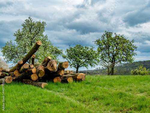 Brennholz Lager im Freien 