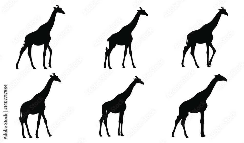 Fototapeta premium Giraffe Silhouettes Collection