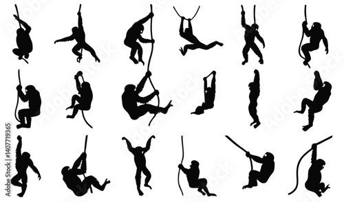 Monkey Silhouette Collection