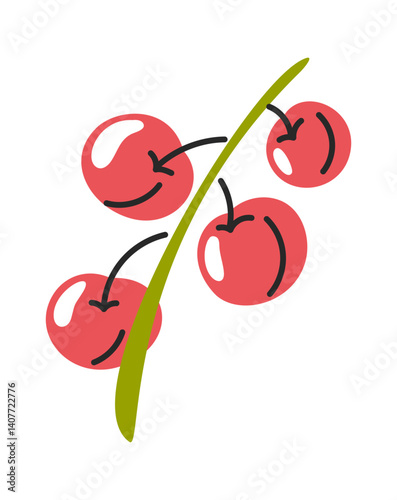 Red currant stem hand drawn