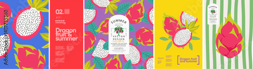 Dragon fruit. Summer fruits. Vector modern stylish illustration of dragon fruit, tree, pattern for plant background, textile, invitation, greeting card, packaging, label, brand, badge, italian poster
