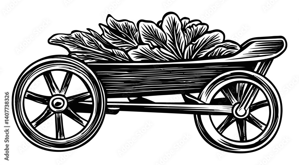 Fototapeta premium Detailed Woodcut Illustration of Cart Loaded with Fresh Lettuce