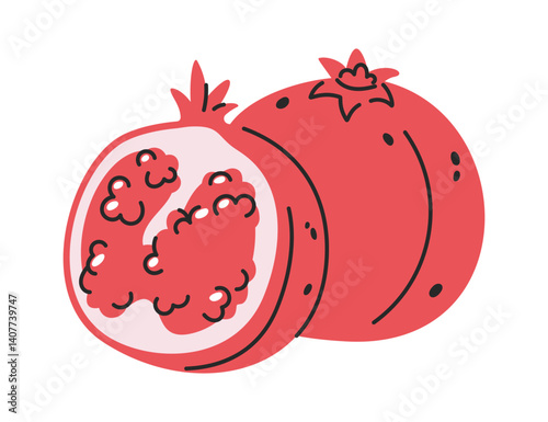 Pomegranate hand drawn juicy fruit