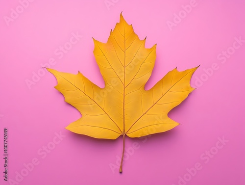A vibrant golden poplar leaf with smooth edges, centered on a solid pastel pink background
