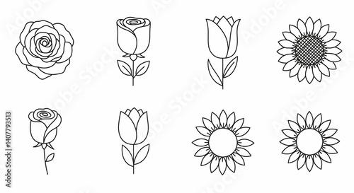 Elegant Floral Line Art Collection Featuring Rose, Tulip, and Sunflower Designs