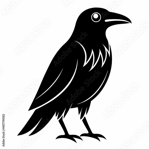 crow on a white background