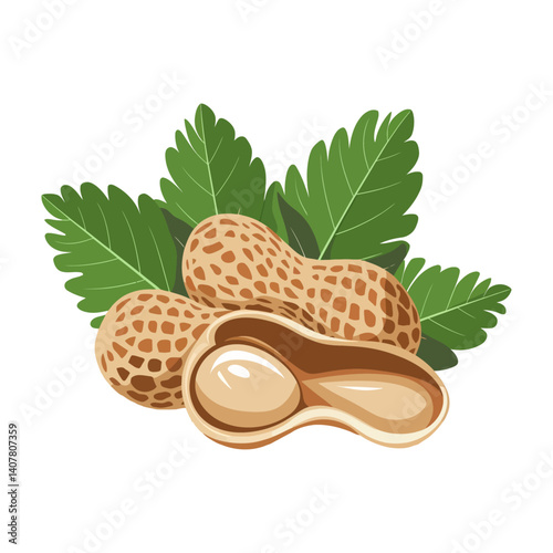 peanuts with leaves vector illustration isolated