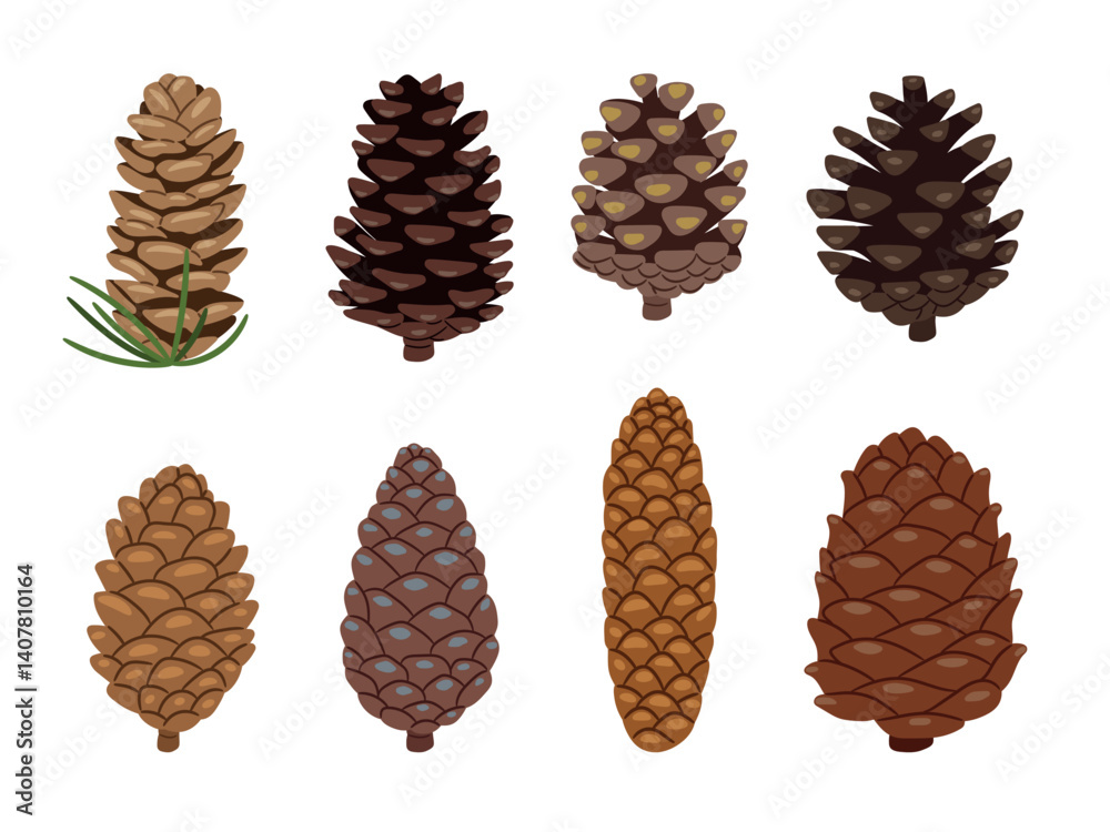 Fototapeta premium Fir or pine cones as plant part vector collection on white background