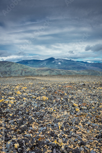 Mountain landscape with lichens on the Besseggen Ridge,  Jotunheimen National park, Norway