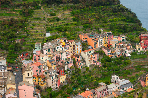 Colorful view of Manarola from above, Cinque Terre,  Italy