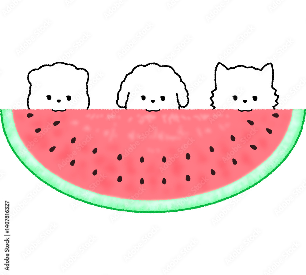 수박 수박