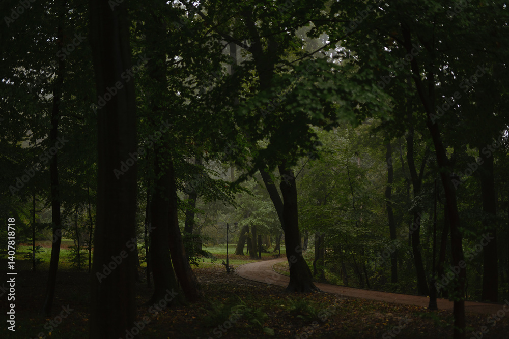 Fototapeta premium Serene Pathway Through a Misty Forest with Lush Greenery