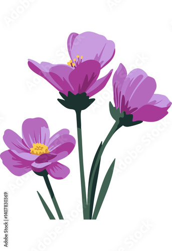 Beautiful blooming cosmos flowers with stems and leaves. Flat vector illustration