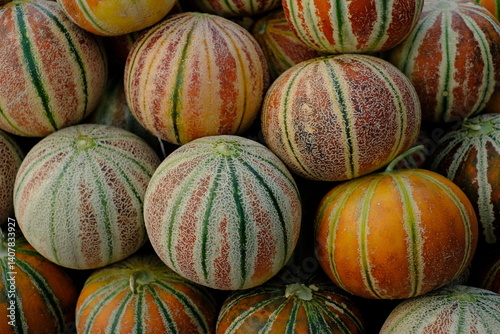 Fresh Melons at Fruit Market in Delhi India