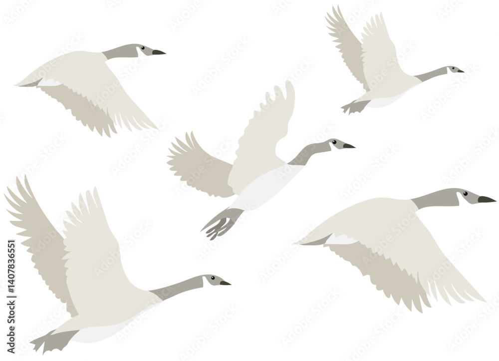 Naklejka premium 기러기