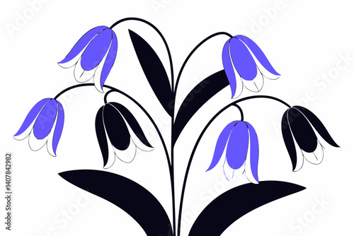 snowdrop flowers vector