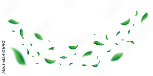 Vector foliage floating ornament. Vegan, eco, organic design element. Leaf falling. Cosmetic pattern border. Fresh tea background. Beauty natural product. Green flying leaf dancing.