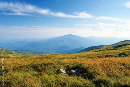 Mountain vista, golden meadow