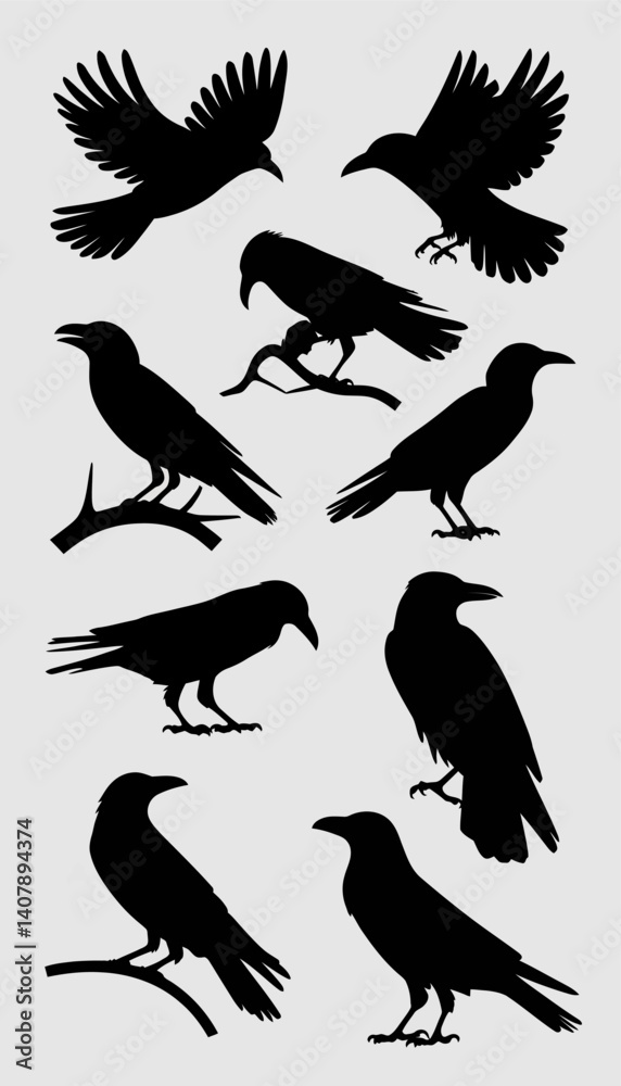 Obraz premium Raven Silhouettes Crow Vector Set Isolated.