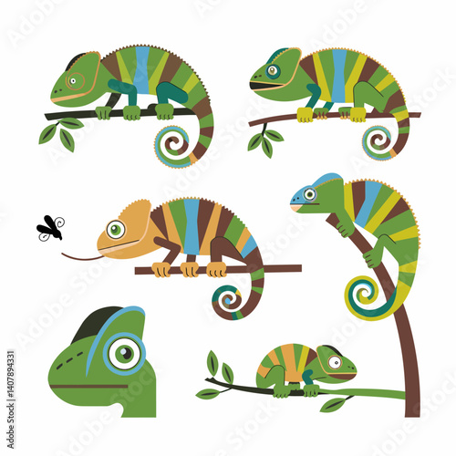 Chameleons with Vector, Graphic, Reptiles, and Isolated.