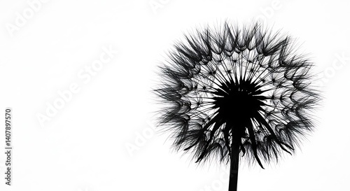 Monochrome Dandelion: Ephemeral Beauty, High-Contrast Photography AI Generated