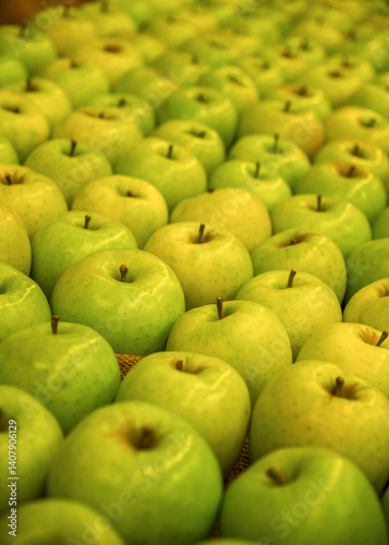 Green and yellow apples are laid out in a row.