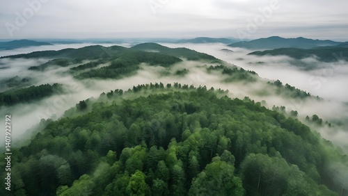drone view of the green forest from above, with fog covering it, creating a calm, peaceful atmosphere