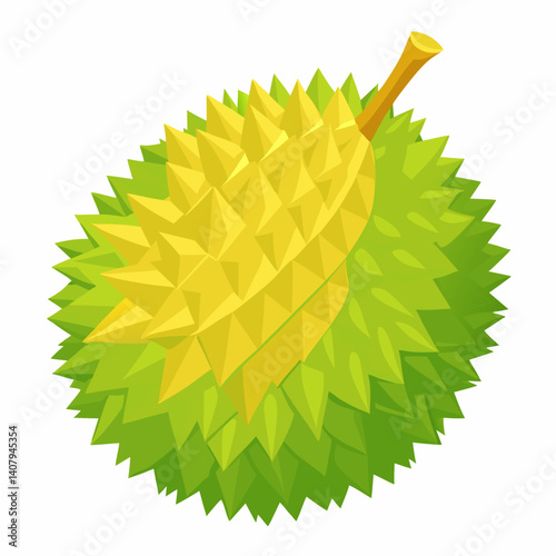 durian fruit isolated on white