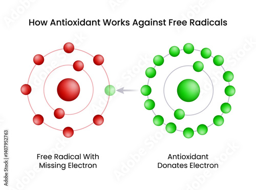 How Antioxidants Neutralize Free Radicals