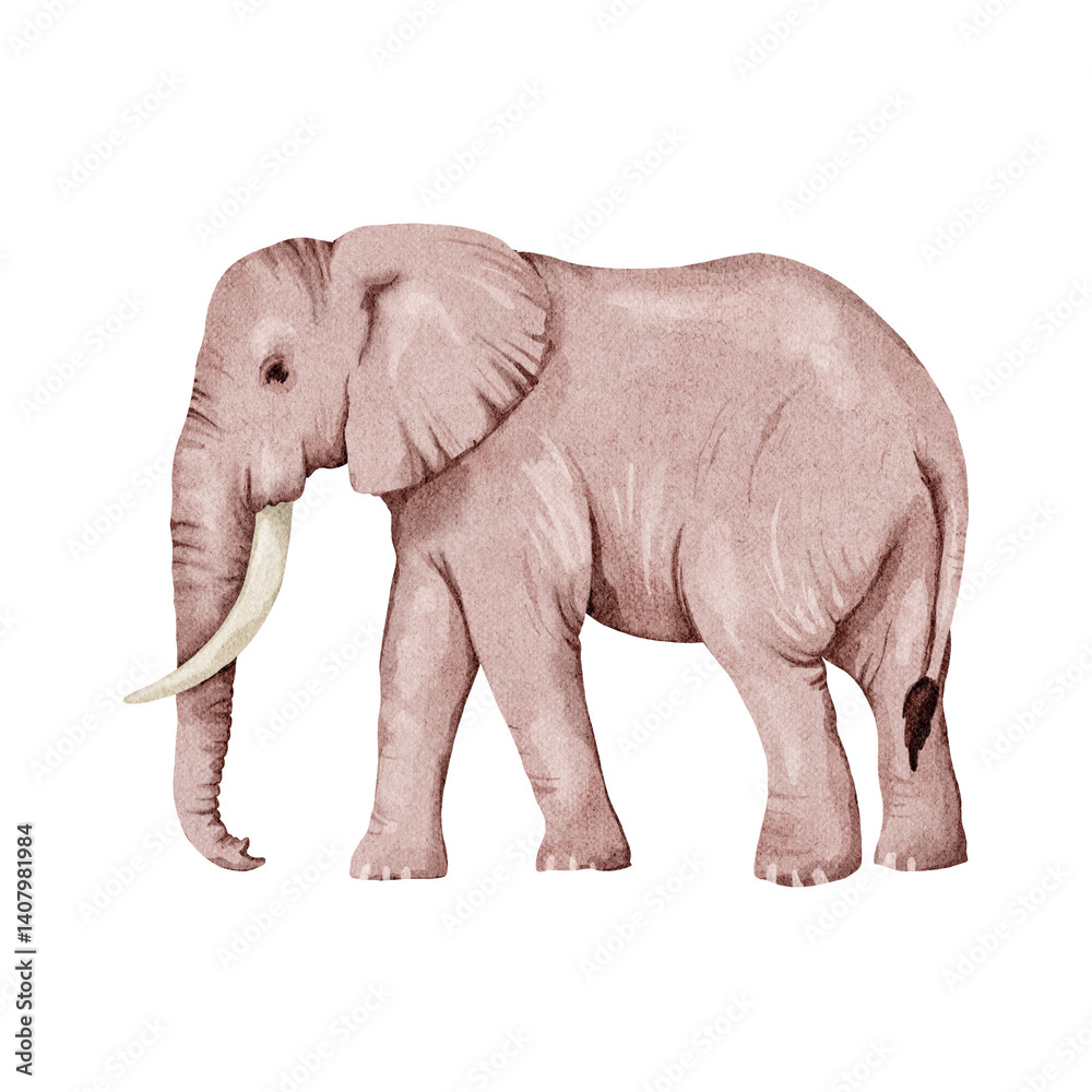 Obraz premium African elephant in watercolor style, isolated on a white background. Watercolor animal of Africa. Illustration with an elephant