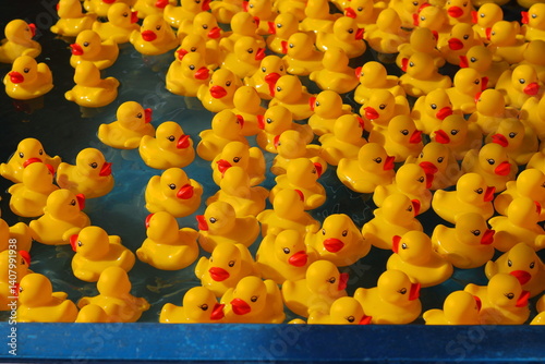 A bunch of rubber duckies floating on water photo