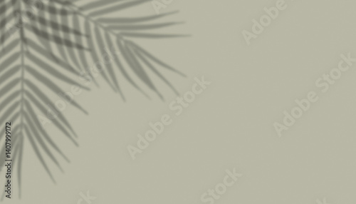 Obraz na płótnie shadow from plant branches on green background w salonie