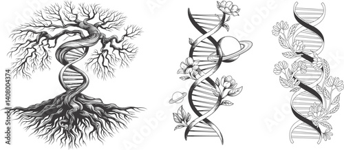 Tree of life with dna roots set, eco life concept, vector illustration.
