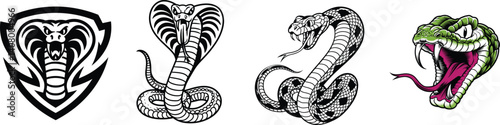 Set of snake, vector illustration.
