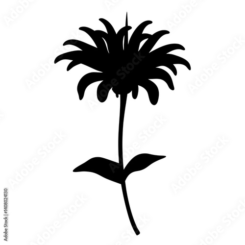 Monarda Didyma Silhouette A Striking Floral Illustration in Black and White