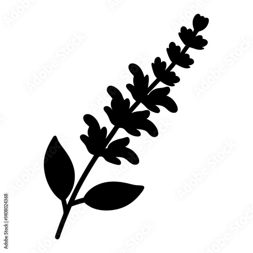 Black Silhouette of Aromatic Lavender or Mint Plant with Green Leaves