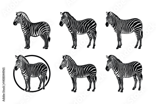 zebra silhouette art illustration