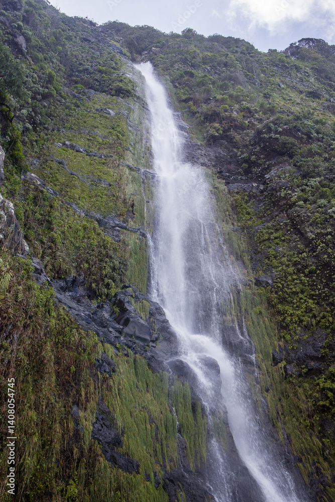 Discovering the Natural Beauty of Madeira Agua d'Alto Waterfall Amidst Lush Greenery Discovering the Natural Beauty of Madeira Agua d'Alto Waterfall Amidst Lush Greenery