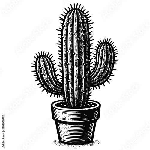 vector illustration of cactus in pot