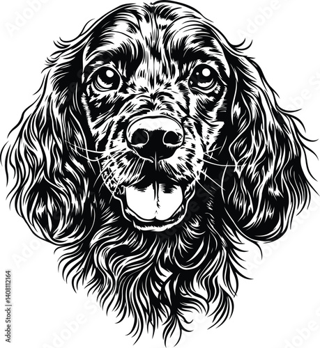 Hand drawn silhouette-style vector illustration of Bernese Mountain Dog engraved illustration for design, logo mark, and printing.