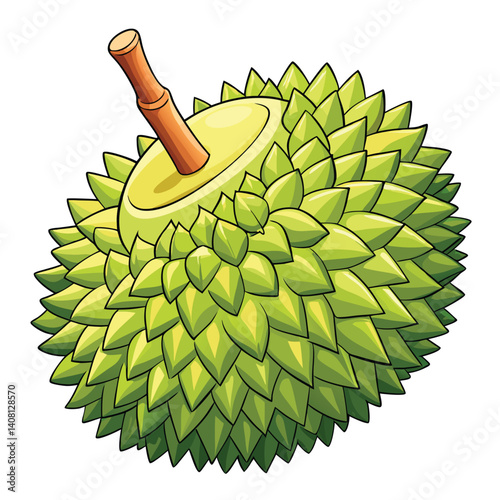 Durian Fruit Illustration